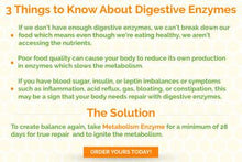 Load image into Gallery viewer, Metabolism Enzyme Balance