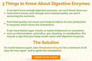 Metabolism Enzyme Balance